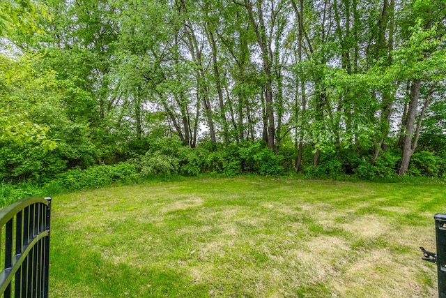 10693 Bear Lake Trl, Portage, MI 49024 - view of yard