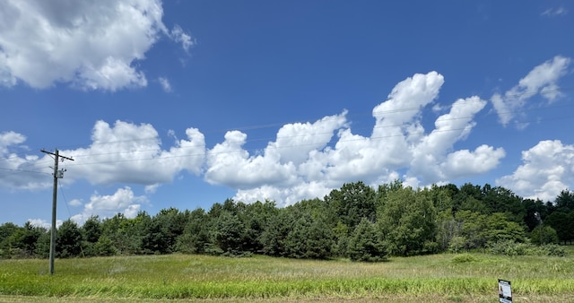 2ACRES E 48th St, Chase, MI 49623