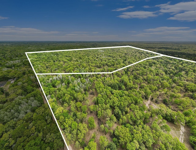 PARCELB S 142nd Ave, Rothbury, MI 49452
