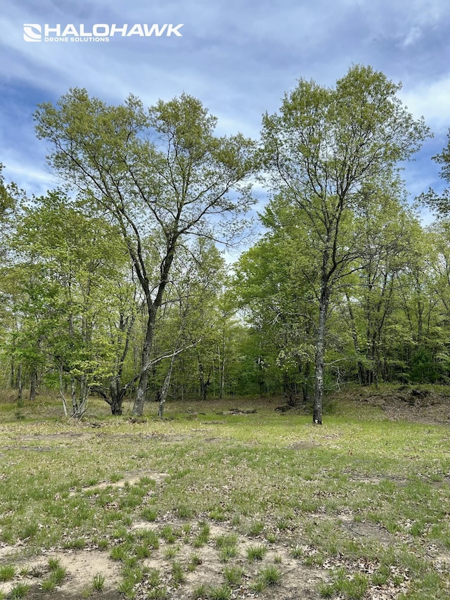 PARCELB S 142nd Ave, Rothbury, MI 49452