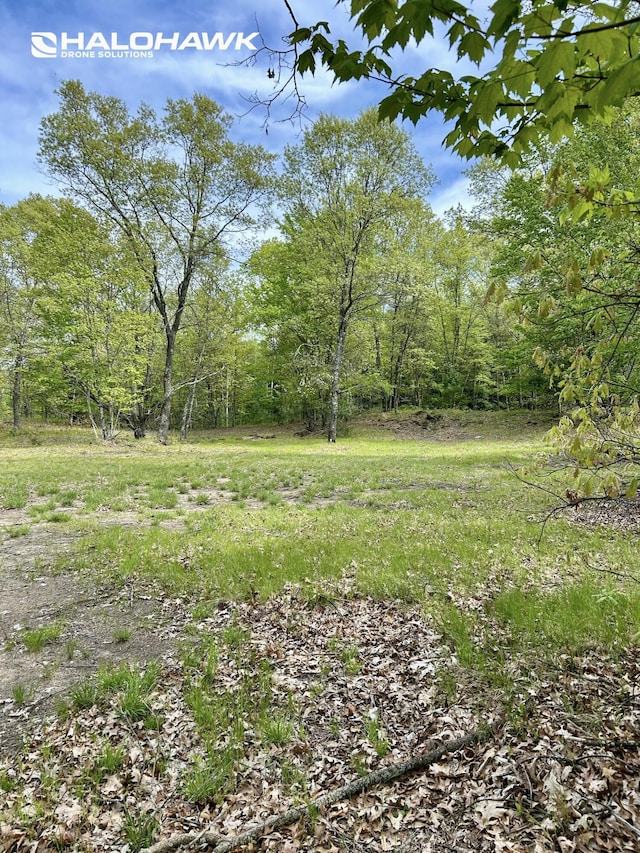 PARCELB S 142nd Ave, Rothbury, MI 49452