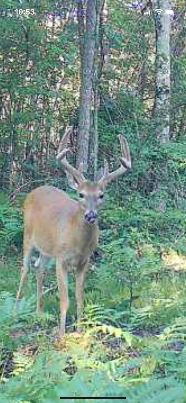 PARCELB S 142nd Ave, Rothbury, MI 49452