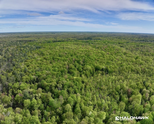 PARCELB S 142nd Ave, Rothbury, MI 49452
