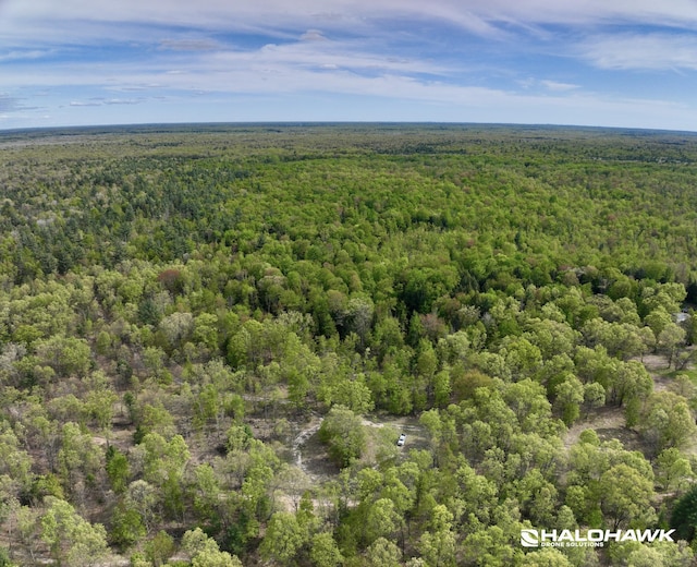 PARCELB S 142nd Ave, Rothbury, MI 49452