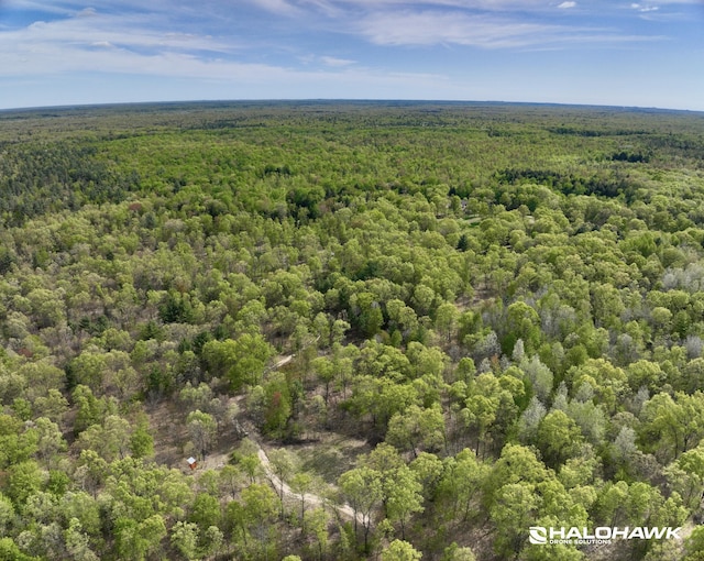 PARCELB S 142nd Ave, Rothbury, MI 49452