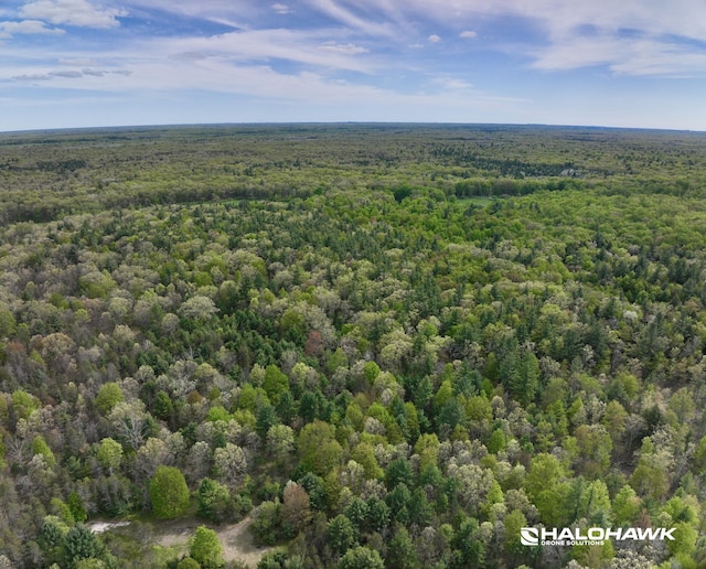 PARCELB S 142nd Ave, Rothbury, MI 49452