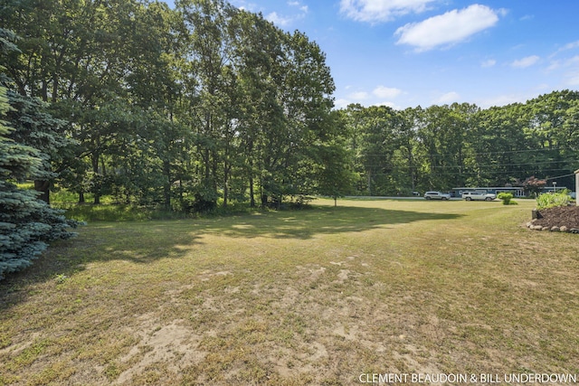 V/L6803 Dale Ct, Fennville, MI 49408 - photo 5