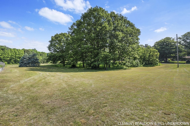 V/L6803 Dale Ct, Fennville, MI 49408 - photo 6