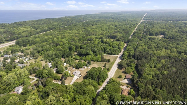 V/L6803 Dale Ct, Fennville, MI 49408 - photo 7