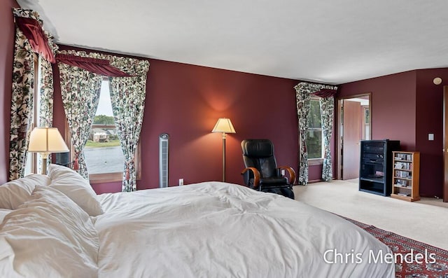 150 Bay Circle Dr, Holland, MI 49424 - view of carpeted bedroom
