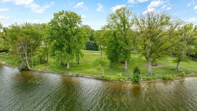 14800 Canary Ct, Brooklyn, MI 49230