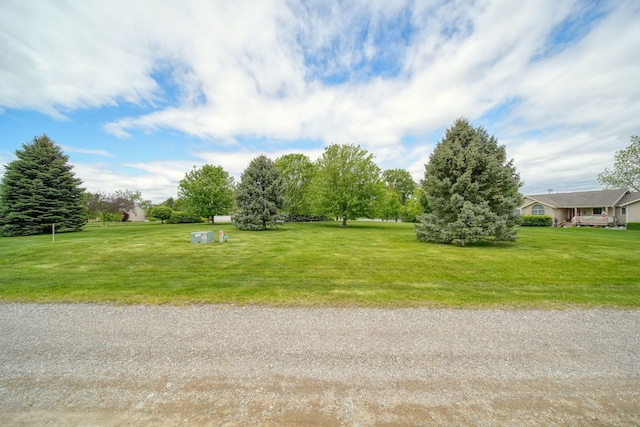 14800 Canary Ct, Brooklyn, MI 49230