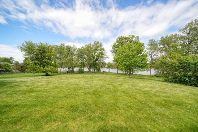 14800 Canary Ct, Brooklyn, MI 49230