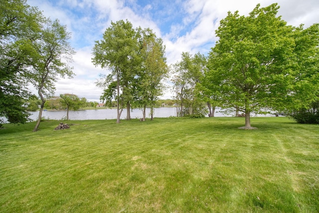 14800 Canary Ct, Brooklyn, MI 49230