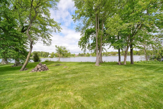 14800 Canary Ct, Brooklyn, MI 49230