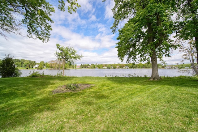 14800 Canary Ct, Brooklyn, MI 49230