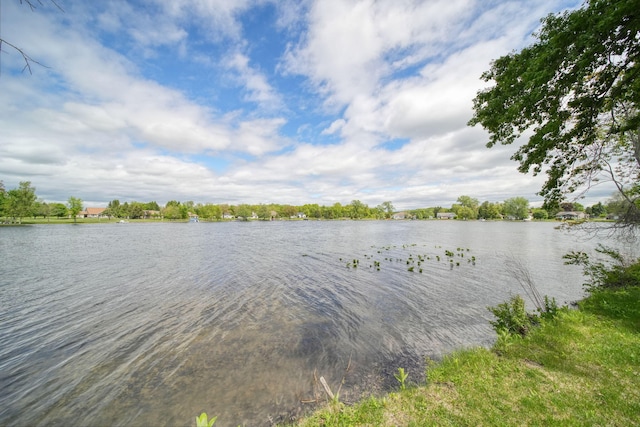 14800 Canary Ct, Brooklyn, MI 49230