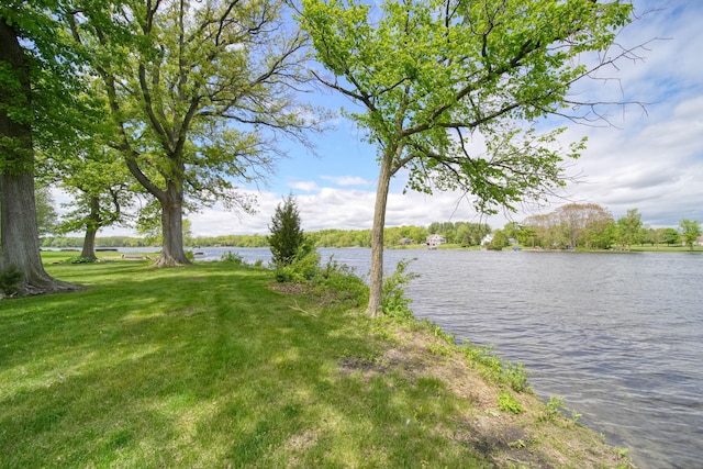 14800 Canary Ct, Brooklyn, MI 49230