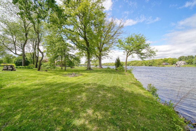 14800 Canary Ct, Brooklyn, MI 49230