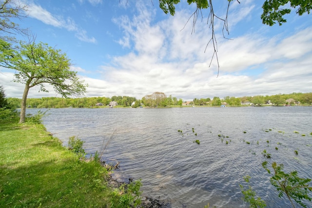 14800 Canary Ct, Brooklyn, MI 49230