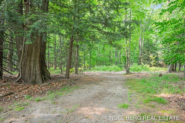 16507 Sleeper St, Grand Haven, MI 49417 - view of yard featuring a wooded view