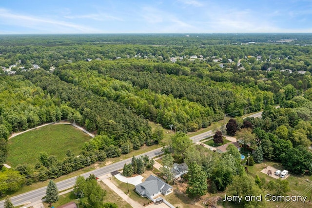 2076 W Lakewood Blvd, Holland, MI 49424 - bird's eye view of a forest