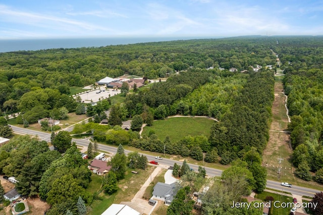 2076 W Lakewood Blvd, Holland, MI 49424 - aerial view of a forest