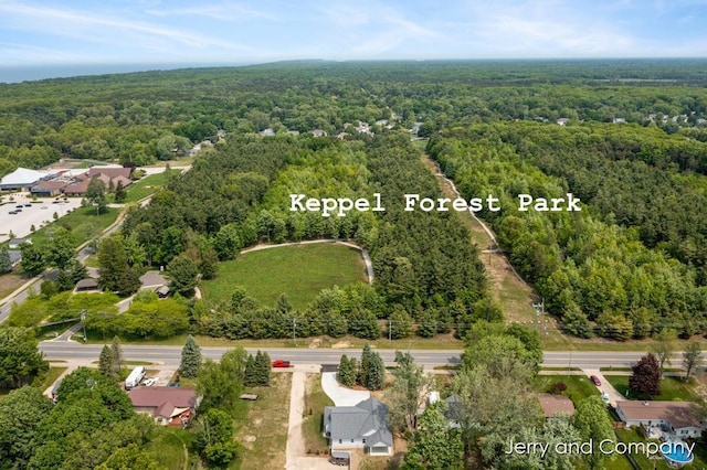 2076 W Lakewood Blvd, Holland, MI 49424 - drone / aerial view of a heavily wooded area