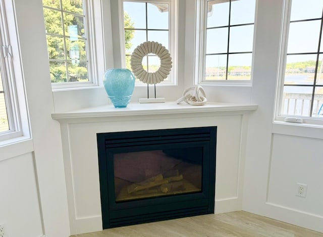 3633 Marina View Pt, Muskegon, MI 49441 - detailed view of wood finished floors and a glass covered fireplace