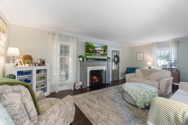 770 Bloomfield Blvd, Jackson, MI 49203 - living area featuring a fireplace with flush hearth, ornamental molding, and wood finished floors