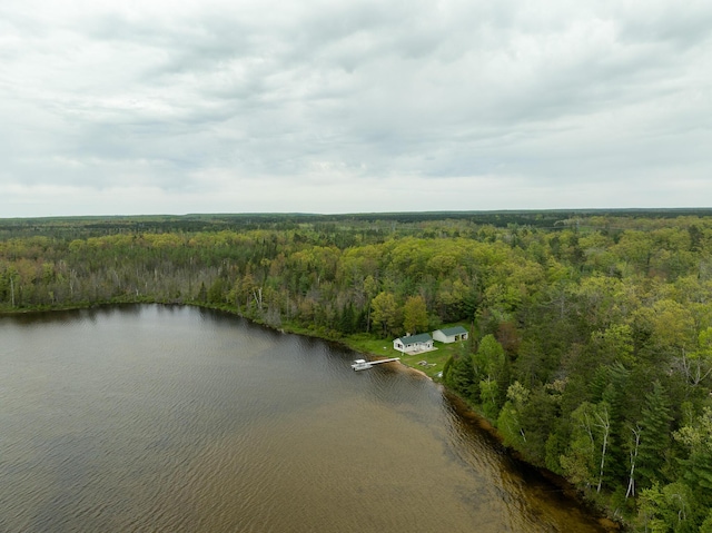 5860 Turtle Lake Rd, Gaylord, MI 49735
