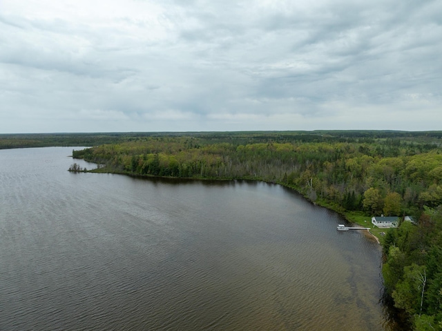 5860 Turtle Lake Rd, Gaylord, MI 49735