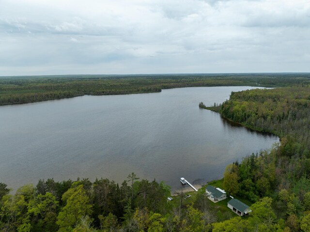 5860 Turtle Lake Rd, Gaylord, MI 49735