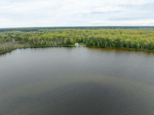 5860 Turtle Lake Rd, Gaylord, MI 49735