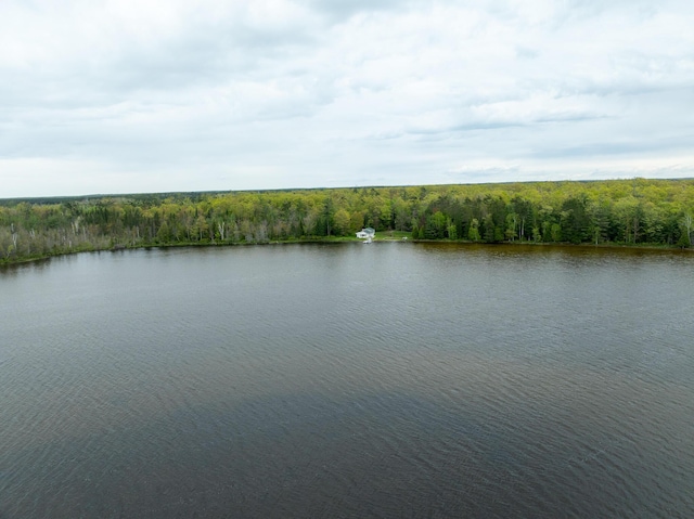 5860 Turtle Lake Rd, Gaylord, MI 49735