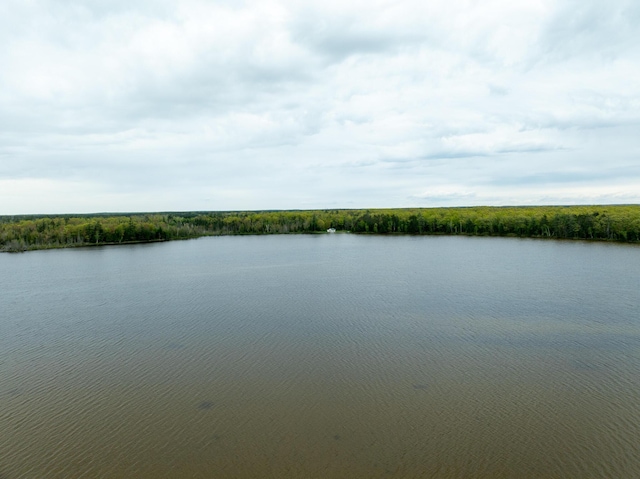 5860 Turtle Lake Rd, Gaylord, MI 49735