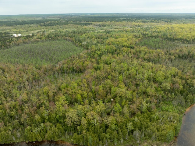 5860 Turtle Lake Rd, Gaylord, MI 49735