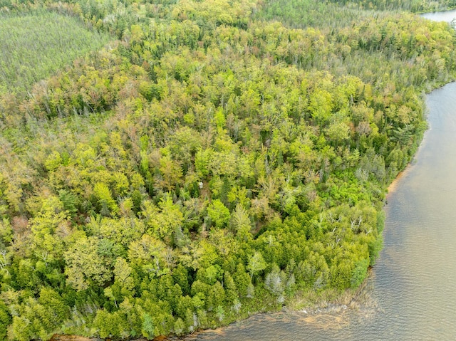5860 Turtle Lake Rd, Gaylord, MI 49735