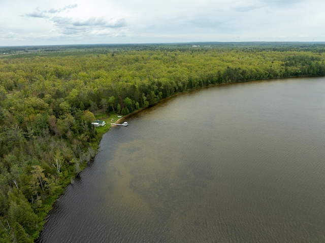 5860 Turtle Lake Rd, Gaylord, MI 49735