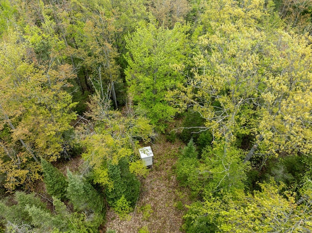 5860 Turtle Lake Rd, Gaylord, MI 49735