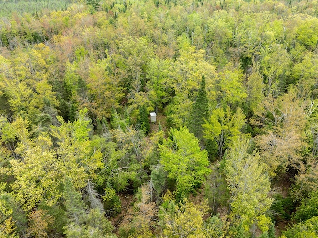 5860 Turtle Lake Rd, Gaylord, MI 49735