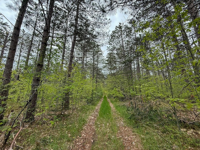 5860 Turtle Lake Rd, Gaylord, MI 49735