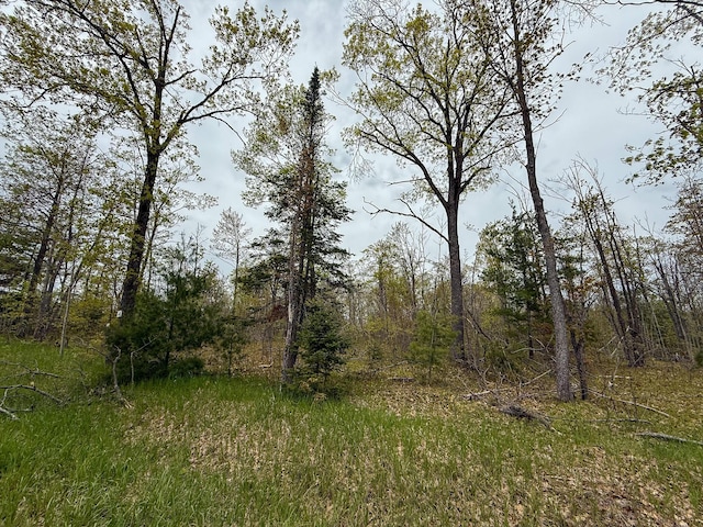 5860 Turtle Lake Rd, Gaylord, MI 49735