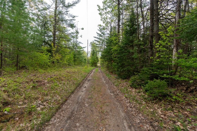 5860 Turtle Lake Rd, Gaylord, MI 49735