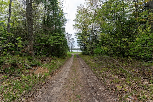 5860 Turtle Lake Rd, Gaylord, MI 49735