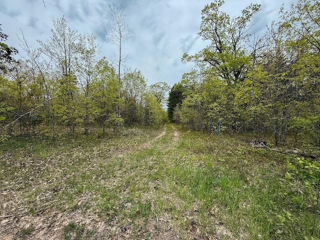 5860 Turtle Lake Rd, Gaylord, MI 49735