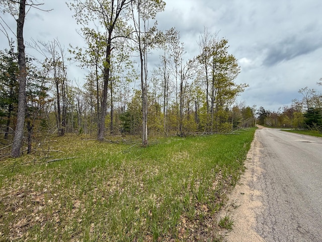 5860 Turtle Lake Rd, Gaylord, MI 49735