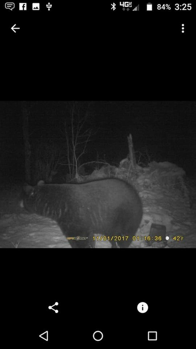 5860 Turtle Lake Rd, Gaylord, MI 49735