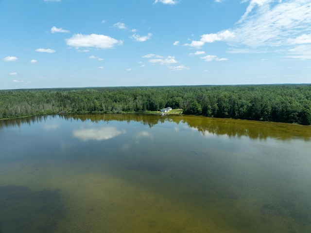 5860 Turtle Lake Rd, Gaylord, MI 49735 - photo 76