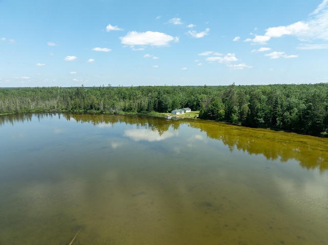 5860 Turtle Lake Rd, Gaylord, MI 49735 - photo 3